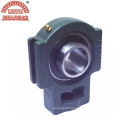 Lowest Price Pillow Block Bearings with Good Quality (UCP209)